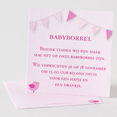 Babyborrelkaartje met roze vlaggen (574.305)