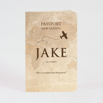 Luxe paspoort geboortekaart met vliegtuigje (581.031)