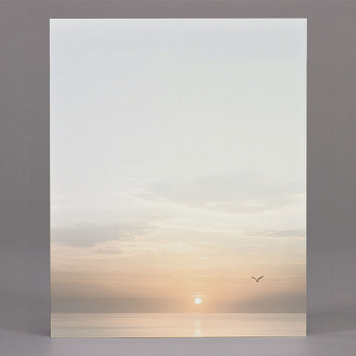 Enkele rouwbrief vogel bij zonsondergang boven water  (620.180)