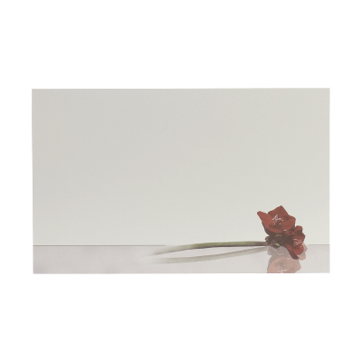 Dubbele rouwkaart met amaryllis (642.020)