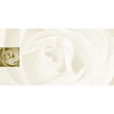 Rechthoekige rouwkaart met roos in coupon van 2 (643.905)