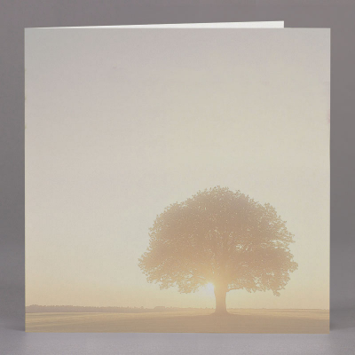 Vierkant rouwprentje boom bij zonsondergang - per 3 (651.181)