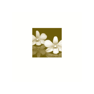 Vierkant rouwprentje met foto orchidee in coupon van 3 (651.904)