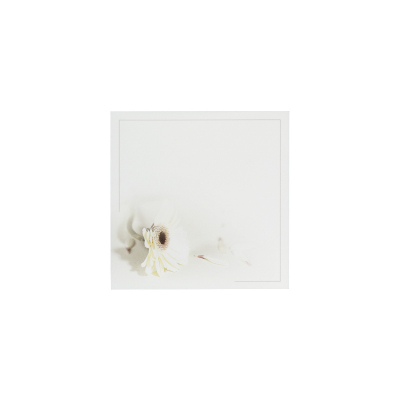 Vierkant rouwprentje met witte gerbera (654.005)