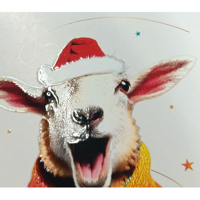 Vrolijke kerstkaart met schaap met kerstmuts en kleurrijke sjaal - FR (845.097)