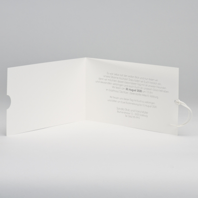 Blanko rechteckige Transparent-Umhüllung und cremefarbige Einsteckkarte (309.056)