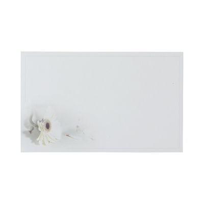 Einzelkarte mit weißer Gerbera (641.095)