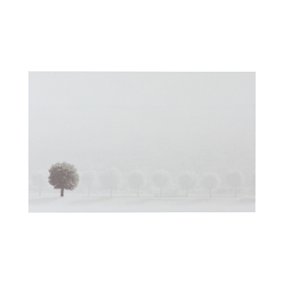 Einzelkarte mit Baum (641.098)