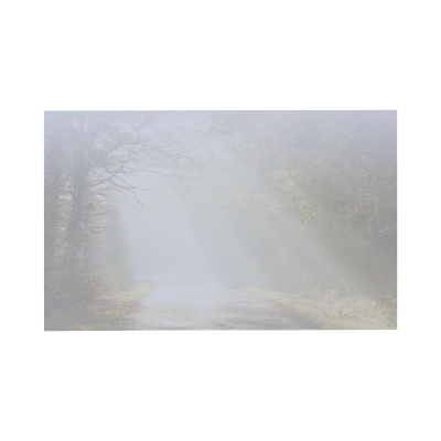 Einzelkarte mit Waldweg (641.133)