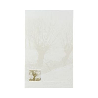 Doppelkarte mit Baum (642.042)