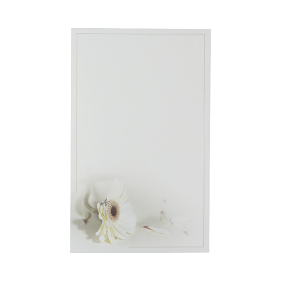 Doppelkarte mit weißer Gerbera (642.095)
