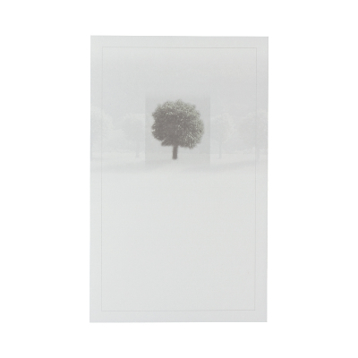 Doppelkarte mit Baum (642.098)