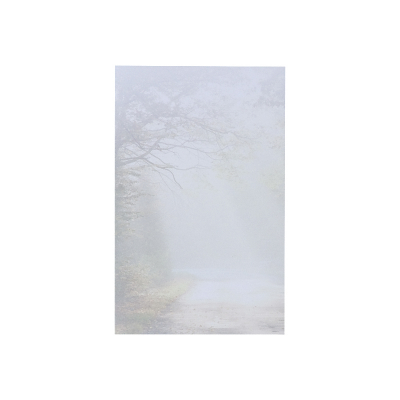 Trauerbild mit Waldweg zu 2-Nutzen (653.133)