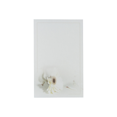 Trauerbild mit weißer Gerbera zu 2-Nutzen (655.095)