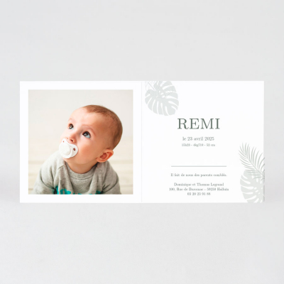 Faire-part naissance exotique motif lionceau (581.087)