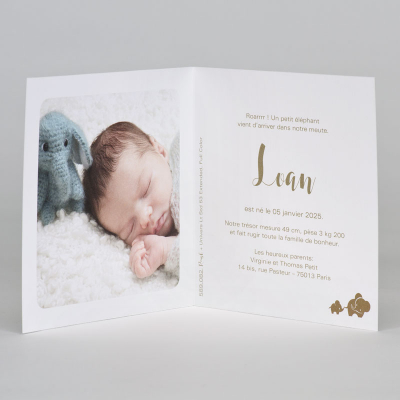 Faire-part maman et bébé éléphant 
 (589.082)