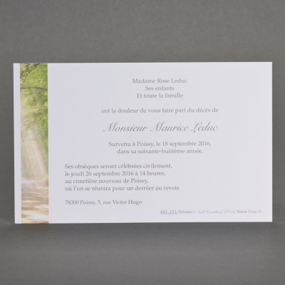 Carte civile forêt et rayon de soleil (641.152)