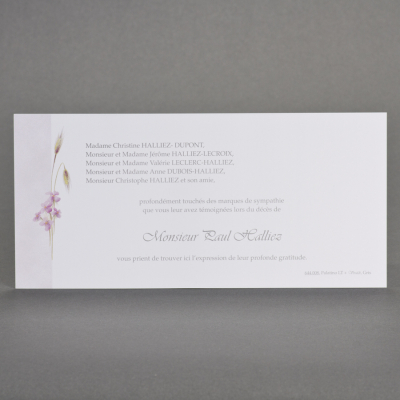 Carte civile épis de blé et fleurs roses
 (644.008)