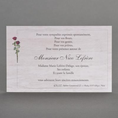 Coupon double roses rouges sur fond beige  (671.157)
