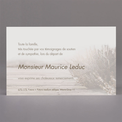 Petite carte le chemin paysager - coupon de 2 (671.175)