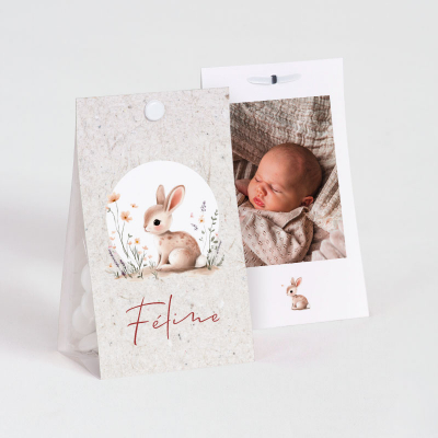 Etui à dragées petit lapin avec photo (745.031)