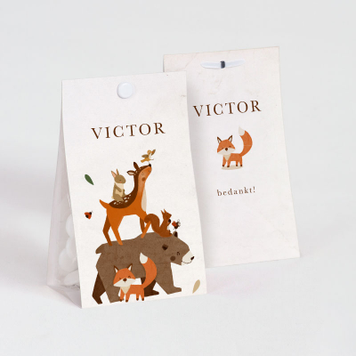 Etui à dragées troupe d'animaux de la forêt (745.048)