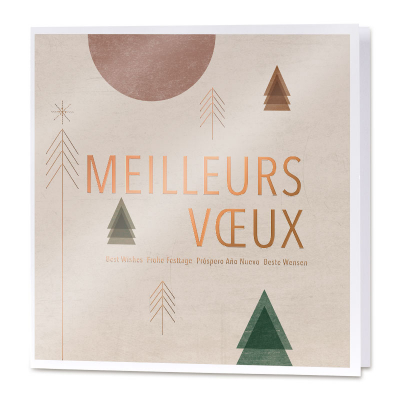 Carte meilleurs vœux tendance sapins et cuivre à chaud (841.115)