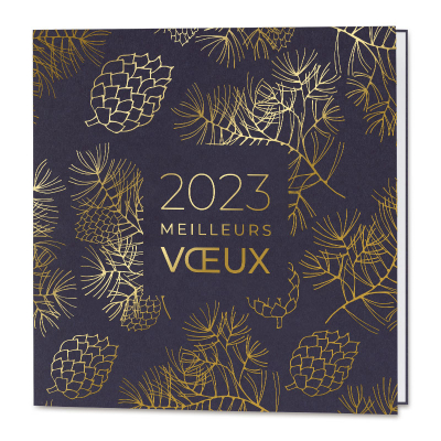 Carte de vœux 2023 pomme de pin et or à chaud (842.101)