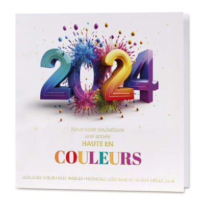 Carte de vœux professionnelle éclatante de couleurs 2024 (843.140)