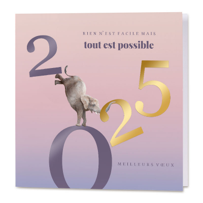 Carte de vœux entreprise humoristique et message 2025 (844.111)
