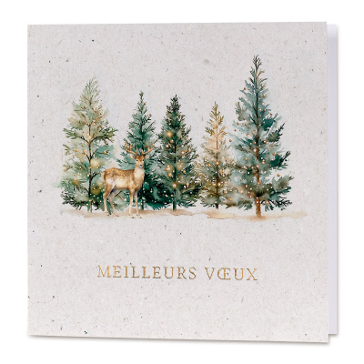 Carte de vœux entreprise forêt de sapins (845.114) Carte de vœux entreprise forêt de sapins (845.114)