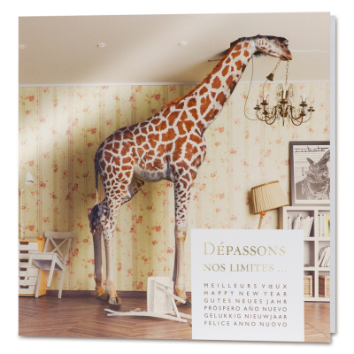Carte girafe  (847.135)