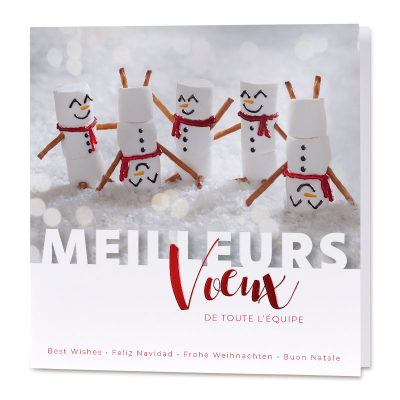 Carte de vœux humour bonhomme de neige (863.102)
