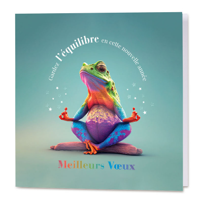 Carte de fin d'année grenouille humoristique 2024 (863.112)