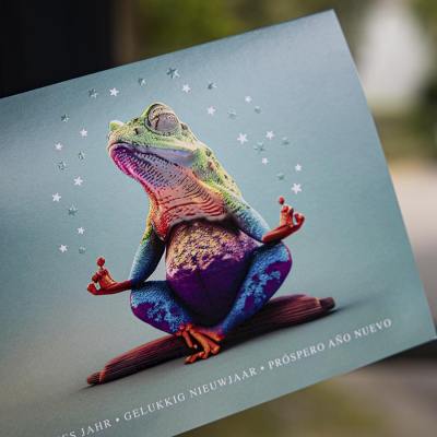 Carte de fin d'année grenouille humoristique 2024 (863.112)