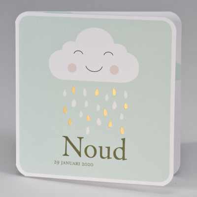 Goedlachse wolk met gouden regendruppels - mint (507.026)