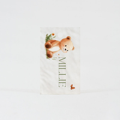 Label lieve teddybeer en vlinder (535.032)