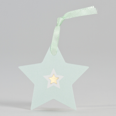Mintgroene ster met goudfolie (556.010)