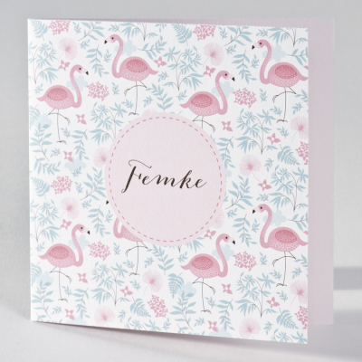 Hippe geboortekaart met roze flamingo's (586.015)