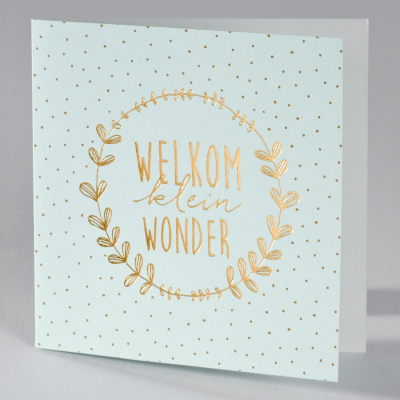 Geboortekaart Welkom klein wonder - mint (586.037)