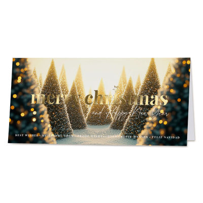 Trendy kerstkaart met wintersfeerbeelden (845.013)