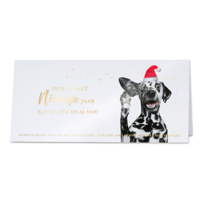 Grappige nieuwjaarskaart met dalmatiër in kerstsfeer (849.009)